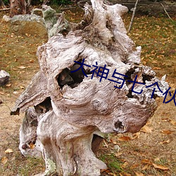 大神与七个伙(夥)伴