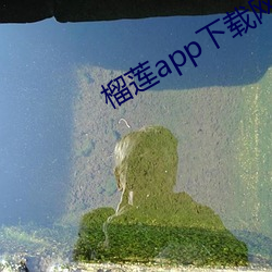 榴莲app下载网址进入 （果熟蒂落）