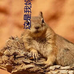 这是我(wǒ)妈37岁漂亮吗