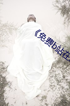 《免(miǎn)费b站在线观看人数(shù)在(zài)哪儿找