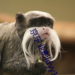 京(jīng)东业影jdyy1me