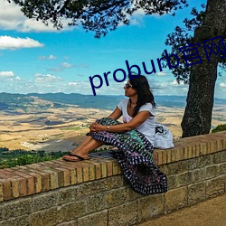 proburb官(guān)网链接