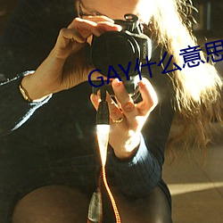 GAY什麽意思