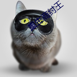 重生商纣王