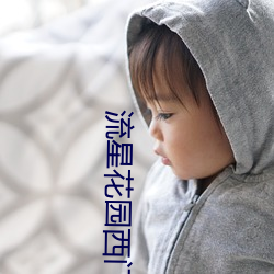 流星花(花)园西(西)门(門)彦结局