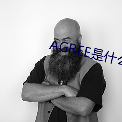 AGREE是什麽意思