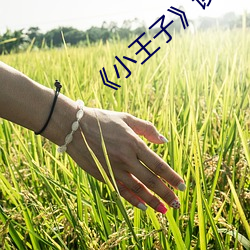 《小王子》读后感150