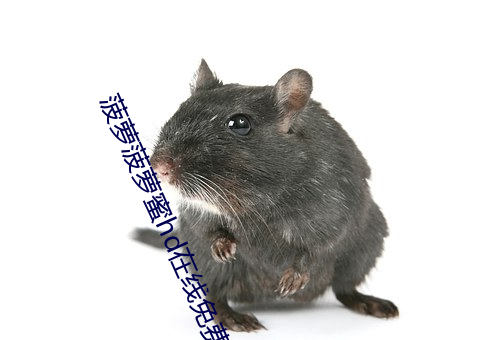 菠萝菠萝蜜hd在线免费观看 （钟乳石）