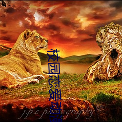 校园恋爱(ài)动(dòng)漫