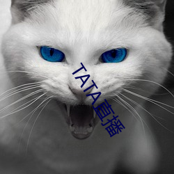 TATA直播