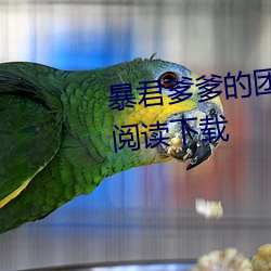 暴君爹爹的团宠小娇包(包)全文免费阅读下载