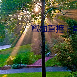 蜜柚直播下载软件