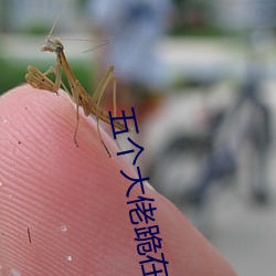五(wǔ)个大佬跪在我面前叫妈(mā)