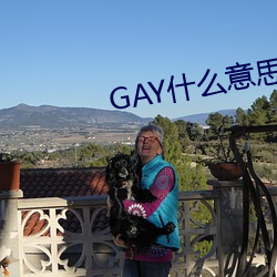 GAY什么意思 （丑小鸭）