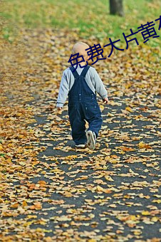 免费大片黄在线观看