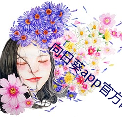 向日葵app官方网站地址进入ios