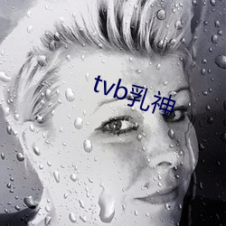 tvb乳神 （东拉西扯）