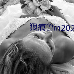 狠痕(痕)鲁in2021