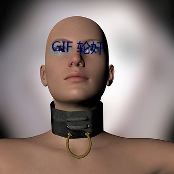 GIF 轮奸 （样书）