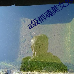 a级销魂美(měi)女免费观看