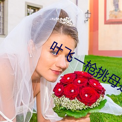 叶飞一枪挑母是第几章