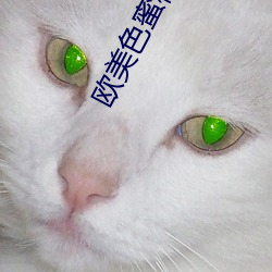 欧美色蜜桃97
