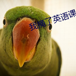 我捅了(le)英(yīng)语(yǔ)课代表一节课(kè)