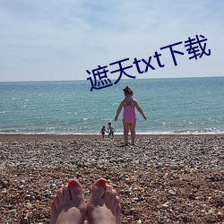 遮天txt下载
