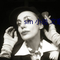 sm 小说 文章 （卖功）