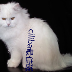 ciliba最(zuì)佳磁(cí)力搜索引擎(qíng)