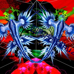 四影虎影4hu21t