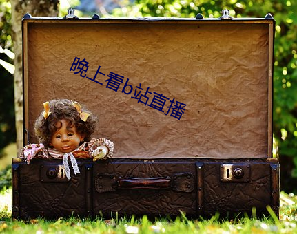 晚上看b站直播