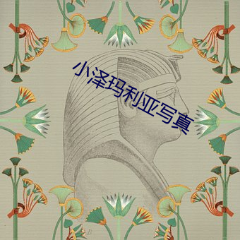 小泽玛利亚写真 （仗马寒蝉）