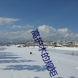 高護木的規矩