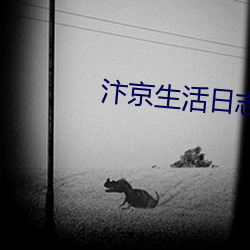 汴(汴)京生活日(日)志(志)