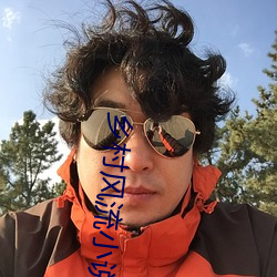 鄉村風流小說