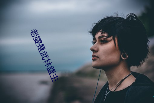 老婆是武林(林)盟主