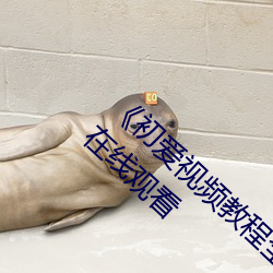 《初爱视(shì)频教程全集(jí)免费观看》BD国语免费在线(xiàn)观看