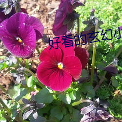 好看的玄幻(幻)小说