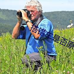 搭错车是否原唱