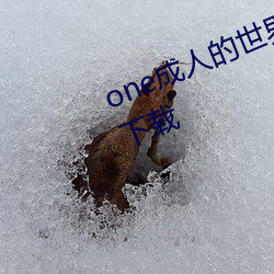 one成人的世界里一个就够了2023下载 （时不时）