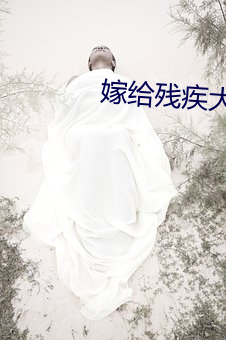 嫁给残疾大将军后 （长篇大论）