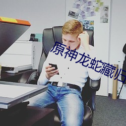 原神龍蛇藏歸輯錄任務怎麽完成