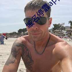 域名停靠app盤她射門免費