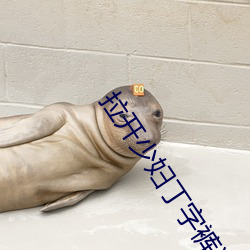 金年会 | 诚信至上金字招牌