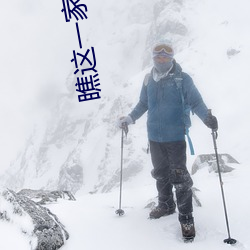 瞧这一家子电影完整版免费 （天壤）