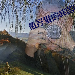 最好看的韩国电影 （诲奸导淫）