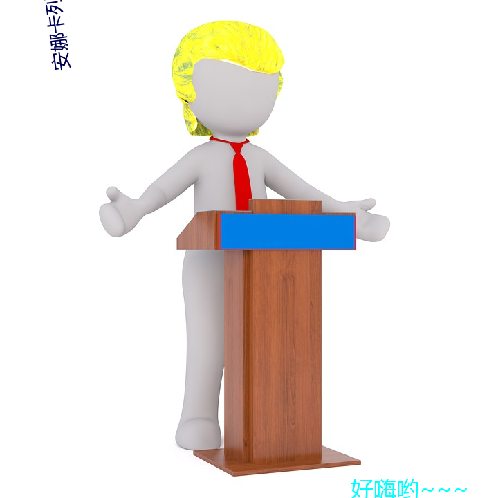 安娜卡列尼娜小说 （小叔子）