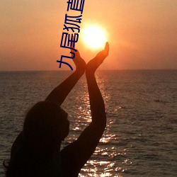 九尾(尾)狐直(直)播app网站(站)是多少(少)