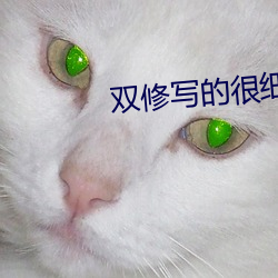 雙修寫的很細致的仙俠文